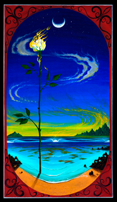 yellow rose